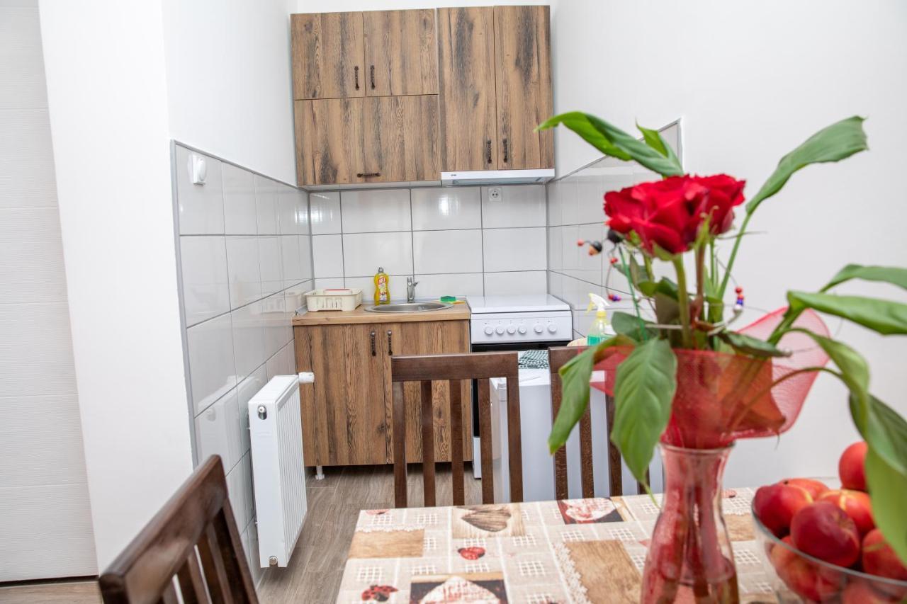 Kuca Stojanovica Topli Do Pirot Ngoại thất bức ảnh